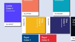 Panduan Menentukan Warna Brand agar Mudah Diingat