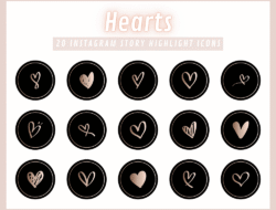 Panduan Membuat Highlight Story untuk Portofolio