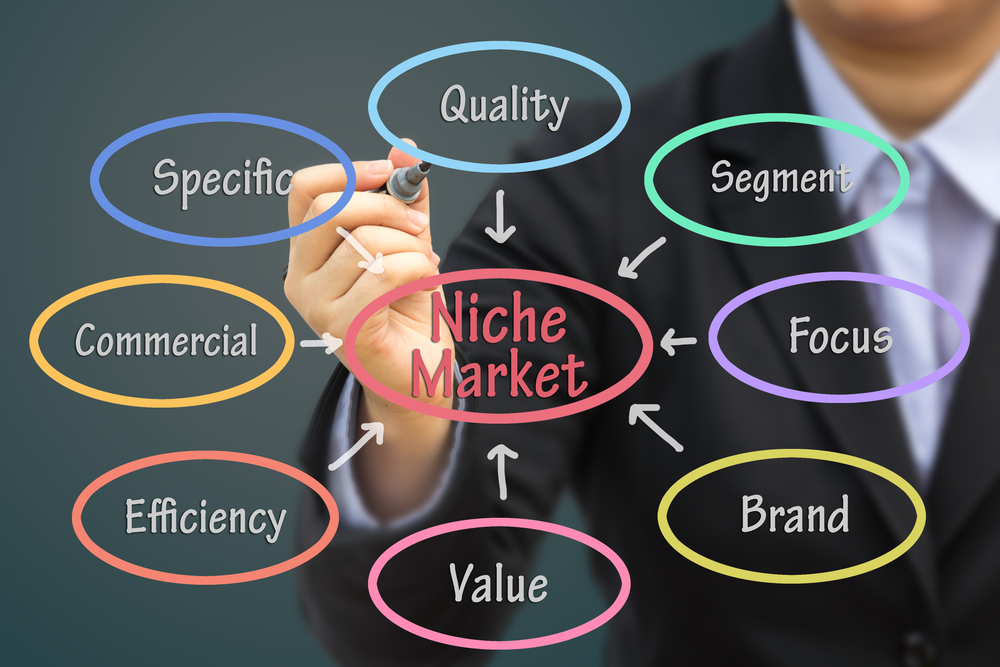 menentukan niche market